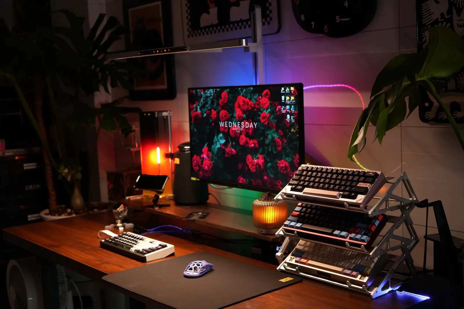 一只狗's workspace — content-creative setup, photo 6 of 6